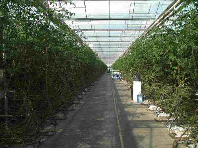 Commercial Energy Surveys, Kent, CT