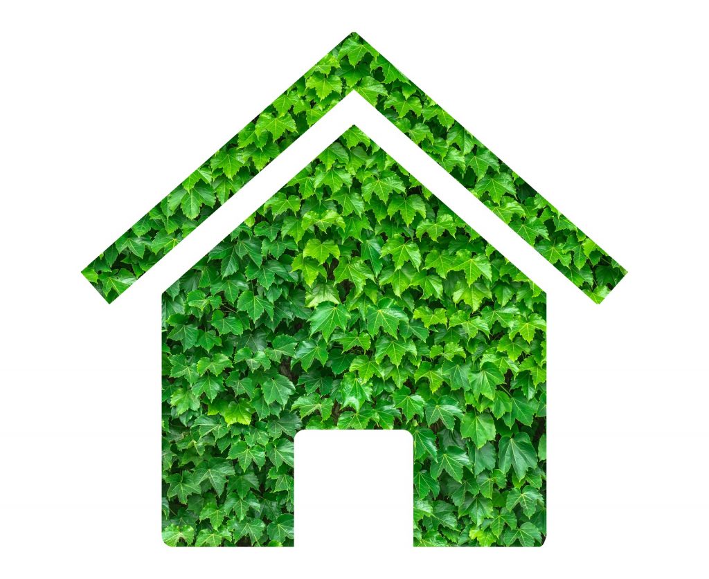 Green Home grant