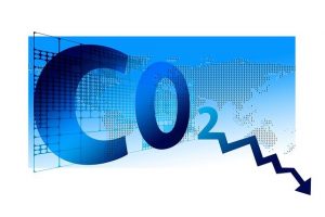 Net Zero