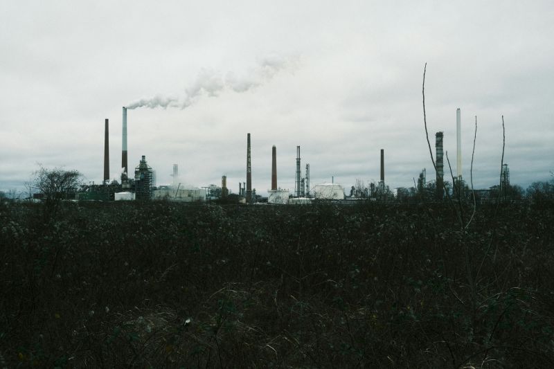 Conservative party ditches net zero