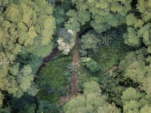 biodiversity_net_gain