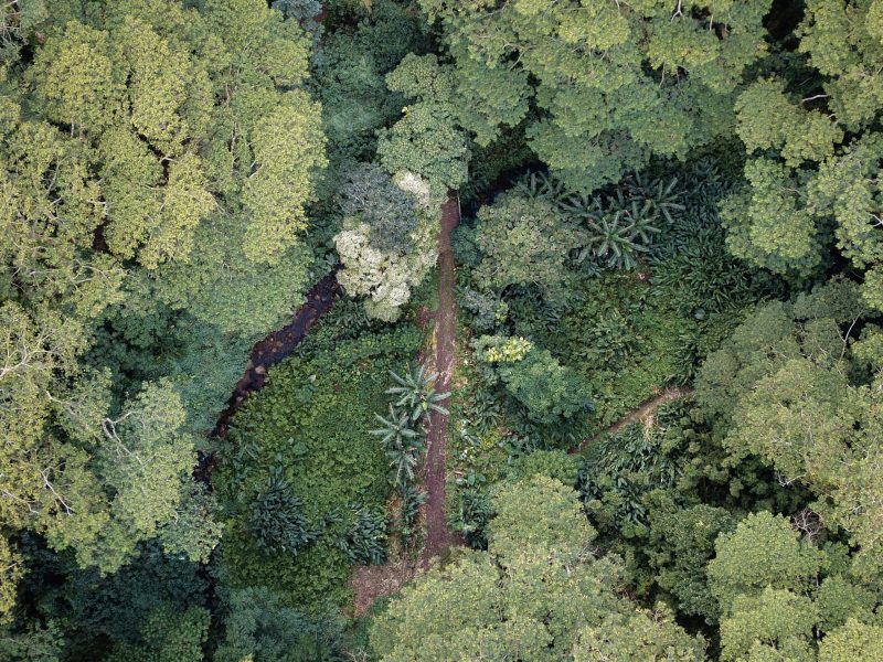 biodiversity_net_gain